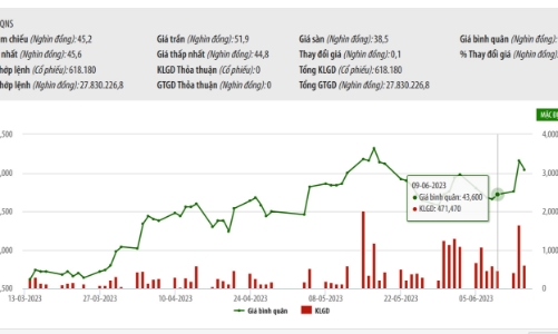 Nhóm VinaCapital tiếp tục bán thêm 190.000 cổ phiếu QNS