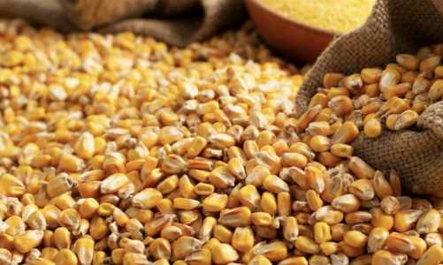 Giá hàng hoá cơ bản trượt dốc, dấu hiệu suy thoái kinh tế toàn cầu?