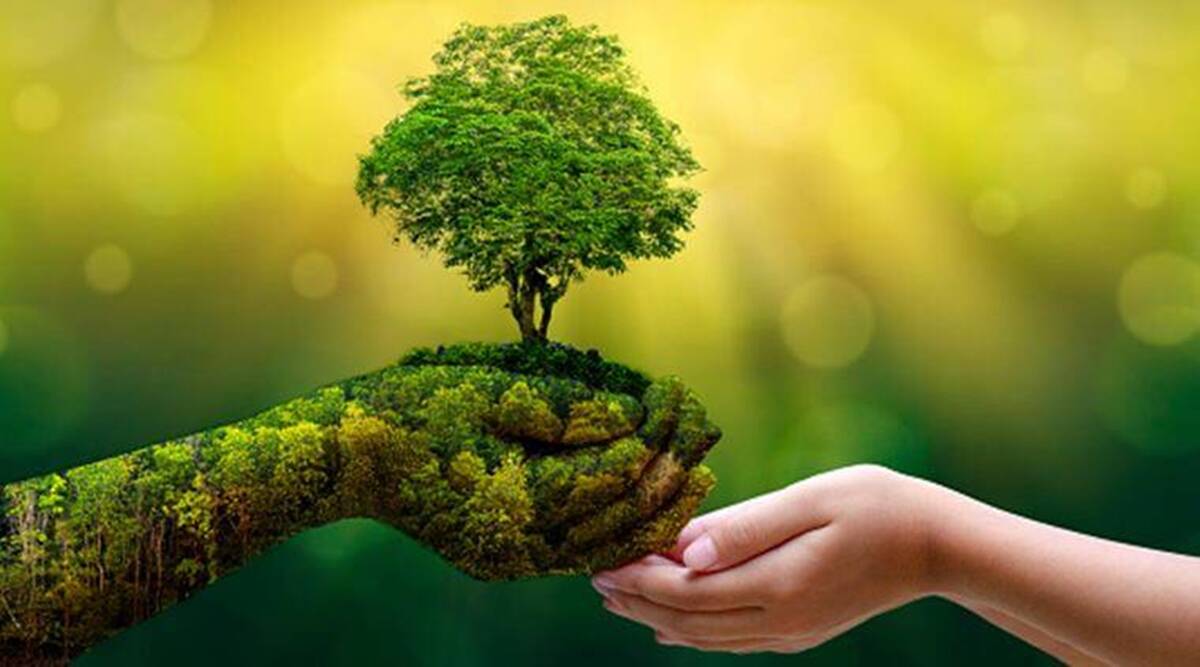 Hiện vẫn thiếu vắng cơ chế và tổ chức thẩm định, đánh giá rủi ro về môi trường xã hội và tiêu chí xanh của dự án.