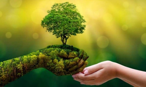 Chuyển đổi xanh… “khó” vì cơ chế