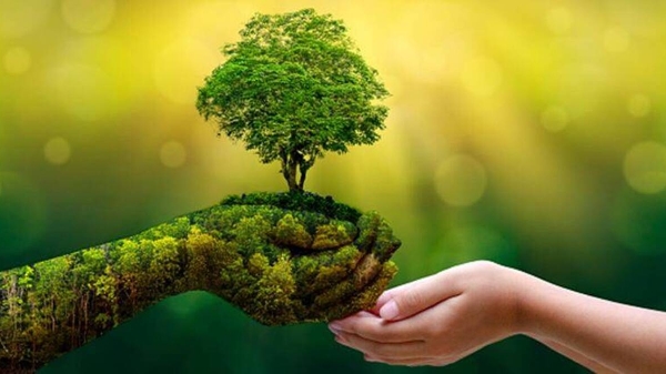 Chuyển đổi xanh… “khó” vì cơ chế