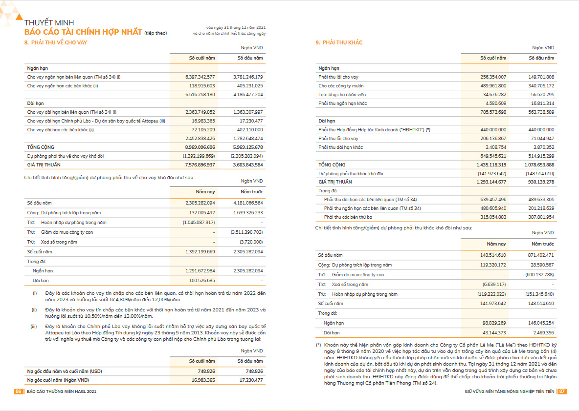 B&aacute;o c&aacute;o thường ni&ecirc;n 2021 của HAG