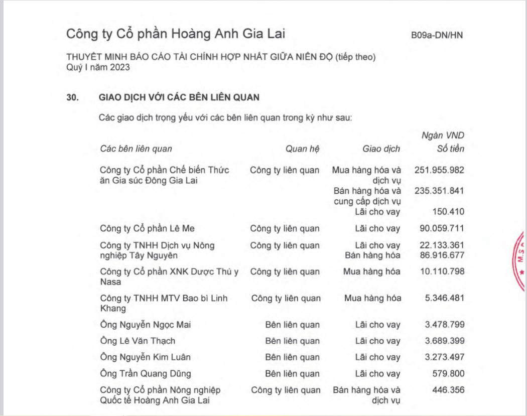 BCTC hợp nhất qu&yacute; 1/2023 của HAG.