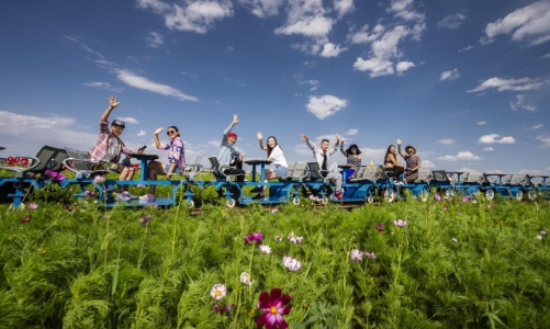 Vì sao tour nước ngoài “thắng thế” trong mùa du lịch hè 2023?