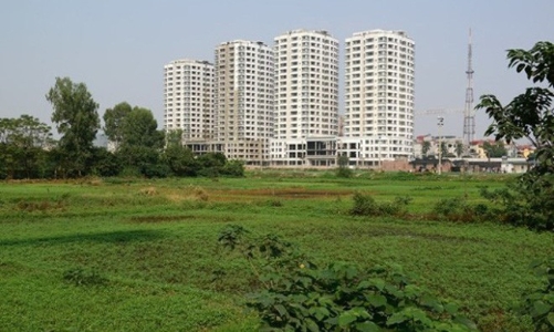 TP.HCM: Đề xuất thông qua danh mục 45 dự án có chuyển mục đích sử dụng đất trồng lúa