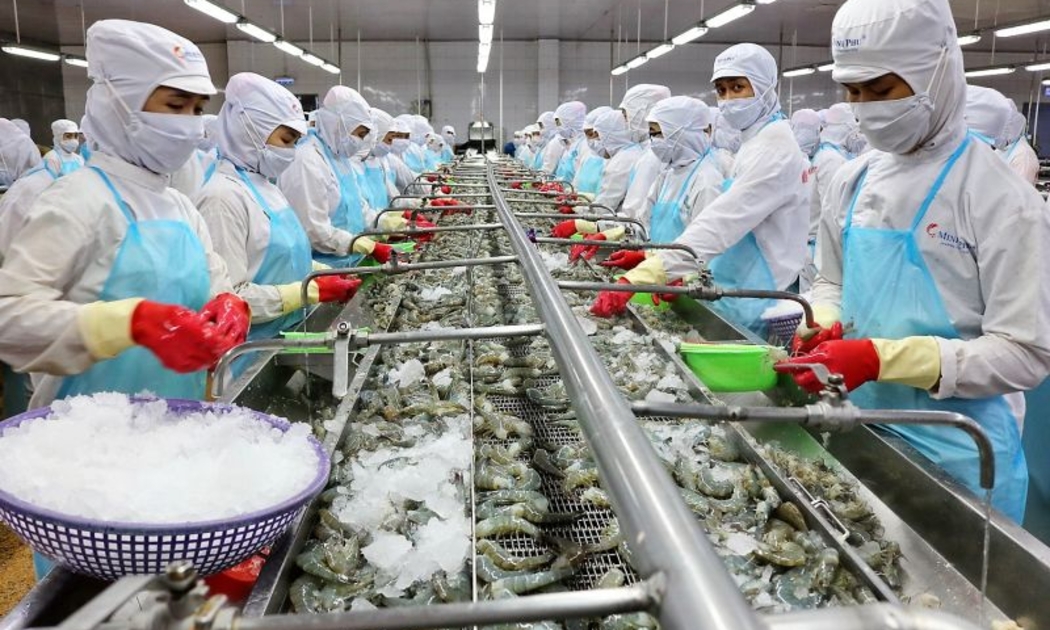 Doanh nghiệp ngành thủy sản đang phải đối mặt với những thách thức lớn trong giai đoạn hiện nay - Ảnh minh họa