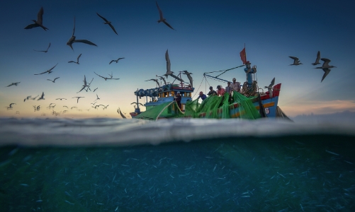 Giải ảnh báo chí Khoảnh khắc vàng chính thức khởi động