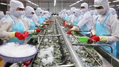 VASEP calls for measures to support seafood enterprises