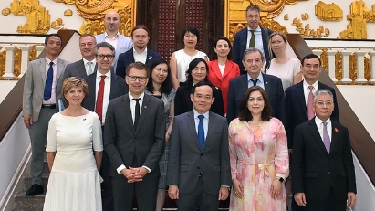 Vietnam calls on EU members to promptly ratify investment deal