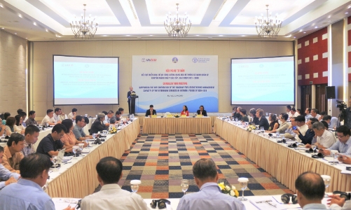 Củng cố hệ thống dịch vụ thú y để phát triển bền vững ngành chăn nuôi