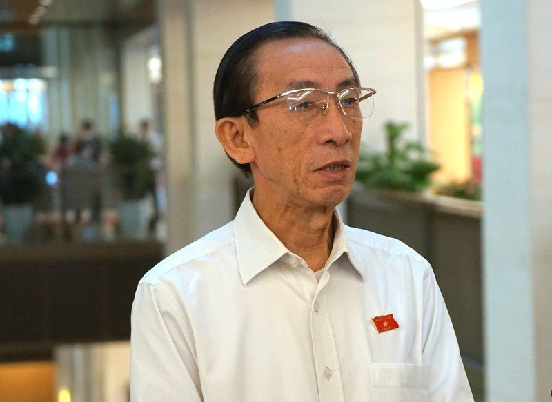 Đại biểu Trần Hoàng Ngân (Đoàn Tp. Hồ Chí Minh)