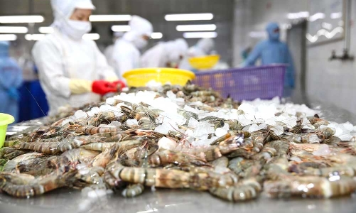 Đại hội cổ đông Thuỷ sản Minh Phú: Thị trường rất khó lường nhưng vẫn có tín hiệu tốt