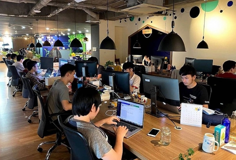 Chỉ 12% doanh nghiệp startup cho rằng ý tưởng phát triển dịch vụ bắt nguồn từ trong các trường đại học.