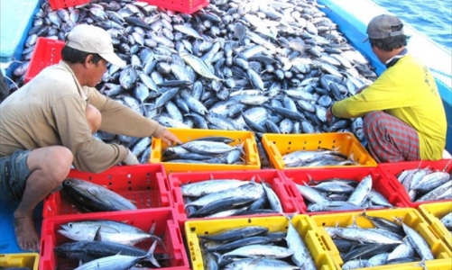 Doanh nghiệp thủy sản và đồ gỗ  “oằn mình” vì lãi vay