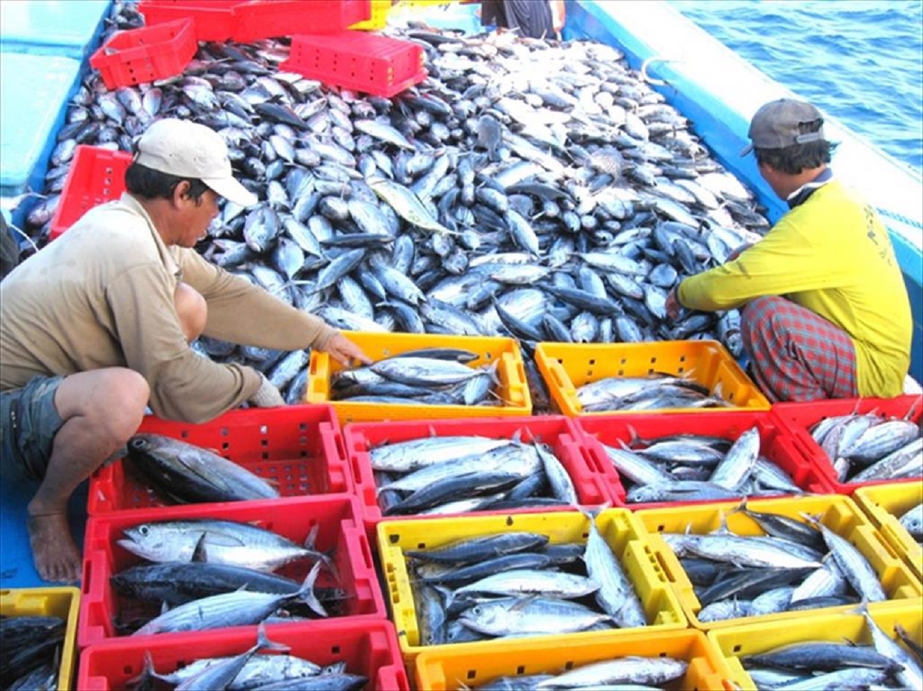 Ngành thủy sản gặp khó đủ bề