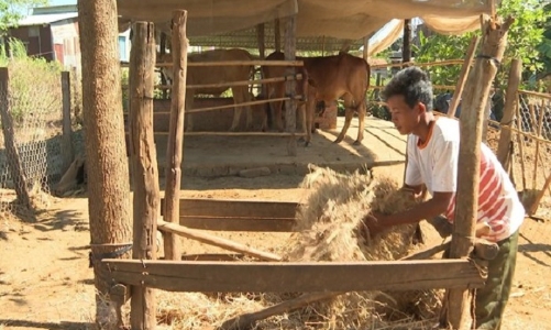 Nửa chặng giảm nghèo giai đoạn 2021-2025