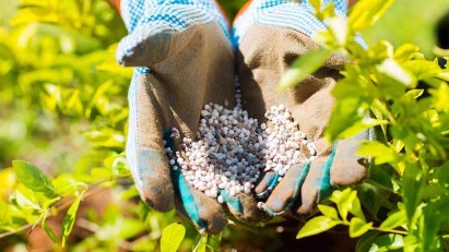 Export tariff on NPK fertilizer cut to 0%