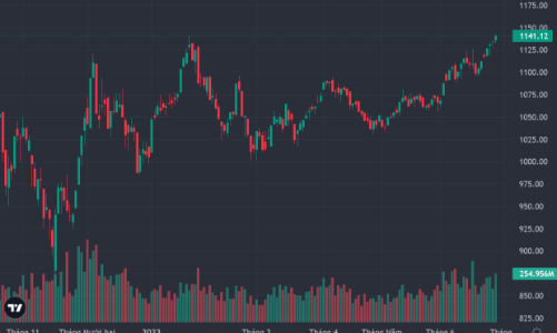Tiền vòng lại cổ phiếu ngân hàng, VN-Index nhọc nhằn leo dốc