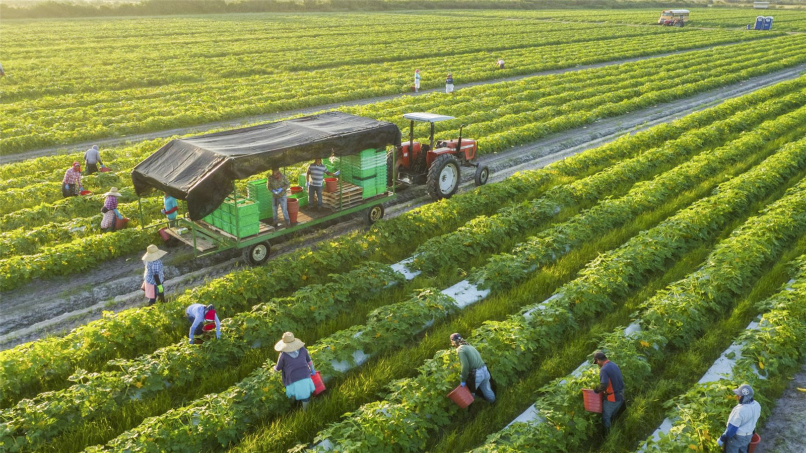 Đầu tư nông nghiệp bền vững là bước đột phá về tư duy và cách làm nông nghiệp.