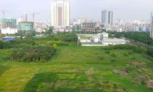 TP.HCM được quyền quyết định chuyển đổi đất trồng lúa dưới 500 ha