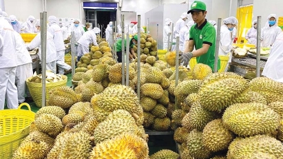 June fruit & vegetable exports hit $1bln