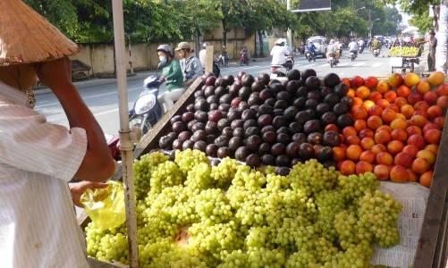 Các chủ hộ có đăng ký kinh doanh mới tham gia bảo hiểm xã hội bắt buộc 