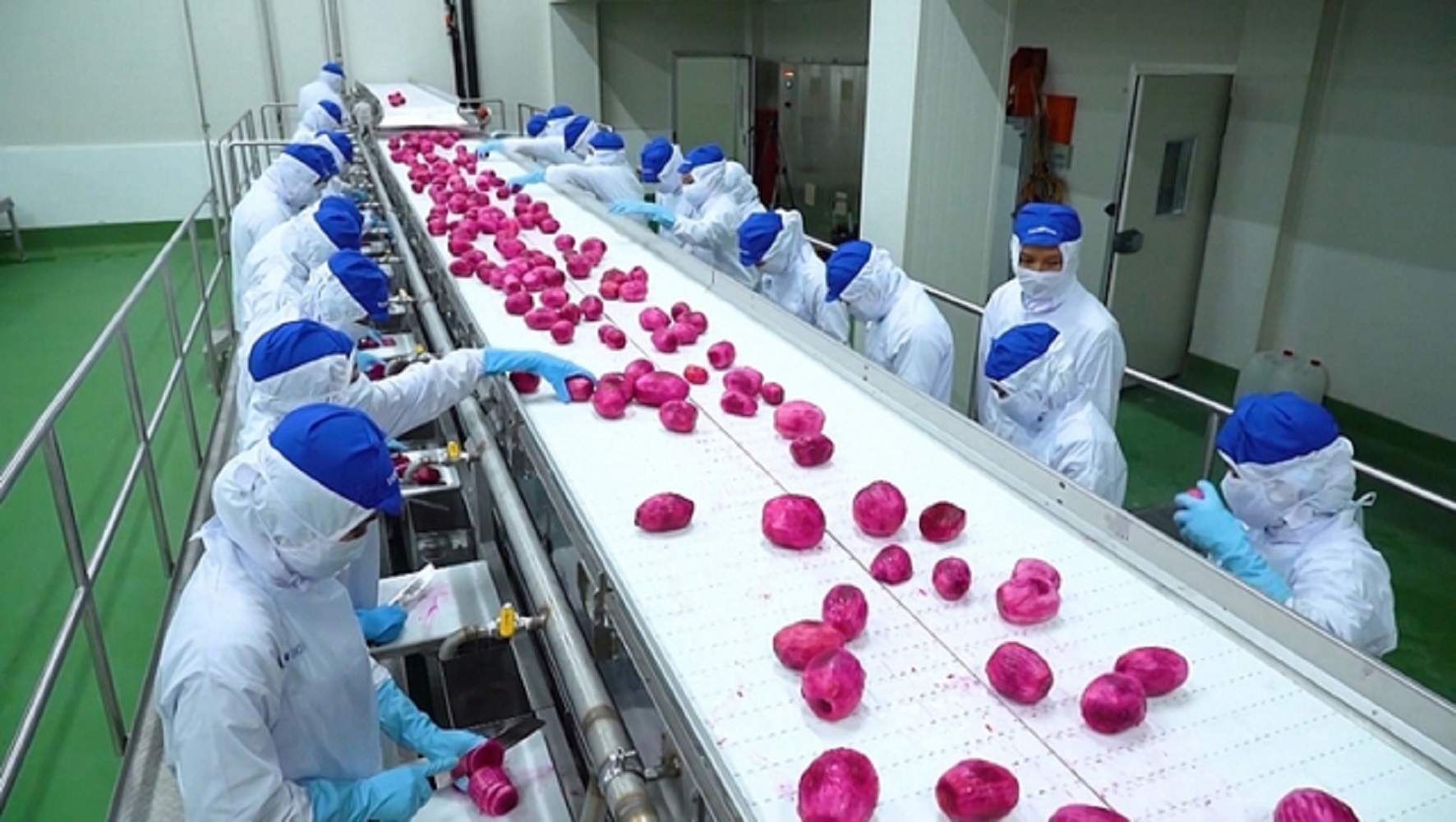 Chế biến là khâu quan trọng để nâng cao giá trị gia tăng cho nông sản