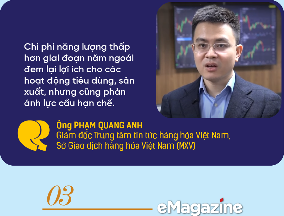 Diễn biến giá hàng hóa thế giới 6 tháng cuối năm và tác động tới Việt Nam - Ảnh 4