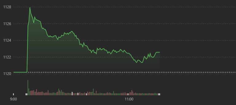 VN-Index trượt giảm trong cả phiên sáng.
