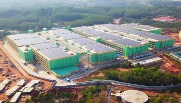 Thanh Hoa approves high-rise pig farming project