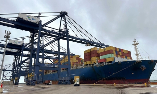 Hãng tàu MSC mở tuyến dịch vụ nội Á Shikra