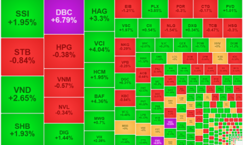 Cổ phiếu chứng khoán, thịt lợn tăng bùng nổ