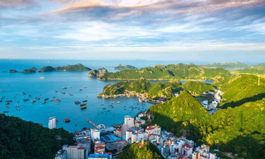 Đề cử 