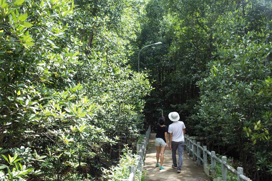 Cần Giờ có nhiều điểm tham quan, du lịch cách biệt với khu dân cư, được định hướng trở thành thành phố xanh, du lịch sinh thái. Trong ảnh: Khu du lịch Rừng Sác, Cần Giờ.