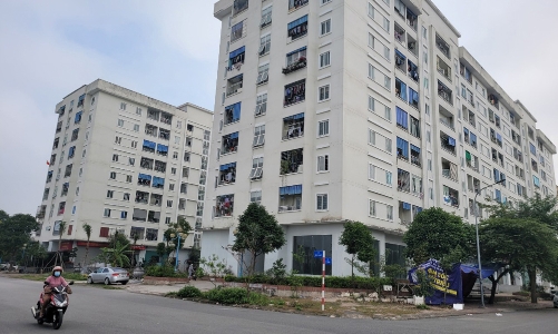 Vì sao có tình trạng người giàu tranh suất mua nhà ở xã hội?