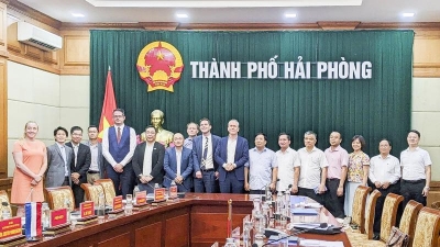 Dutch aviation businesses eye investment in Hai Phong