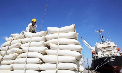 Xuất khẩu gạo đang rất “sáng”: Cần tăng cường hỗ trợ vốn cho doanh nghiệp