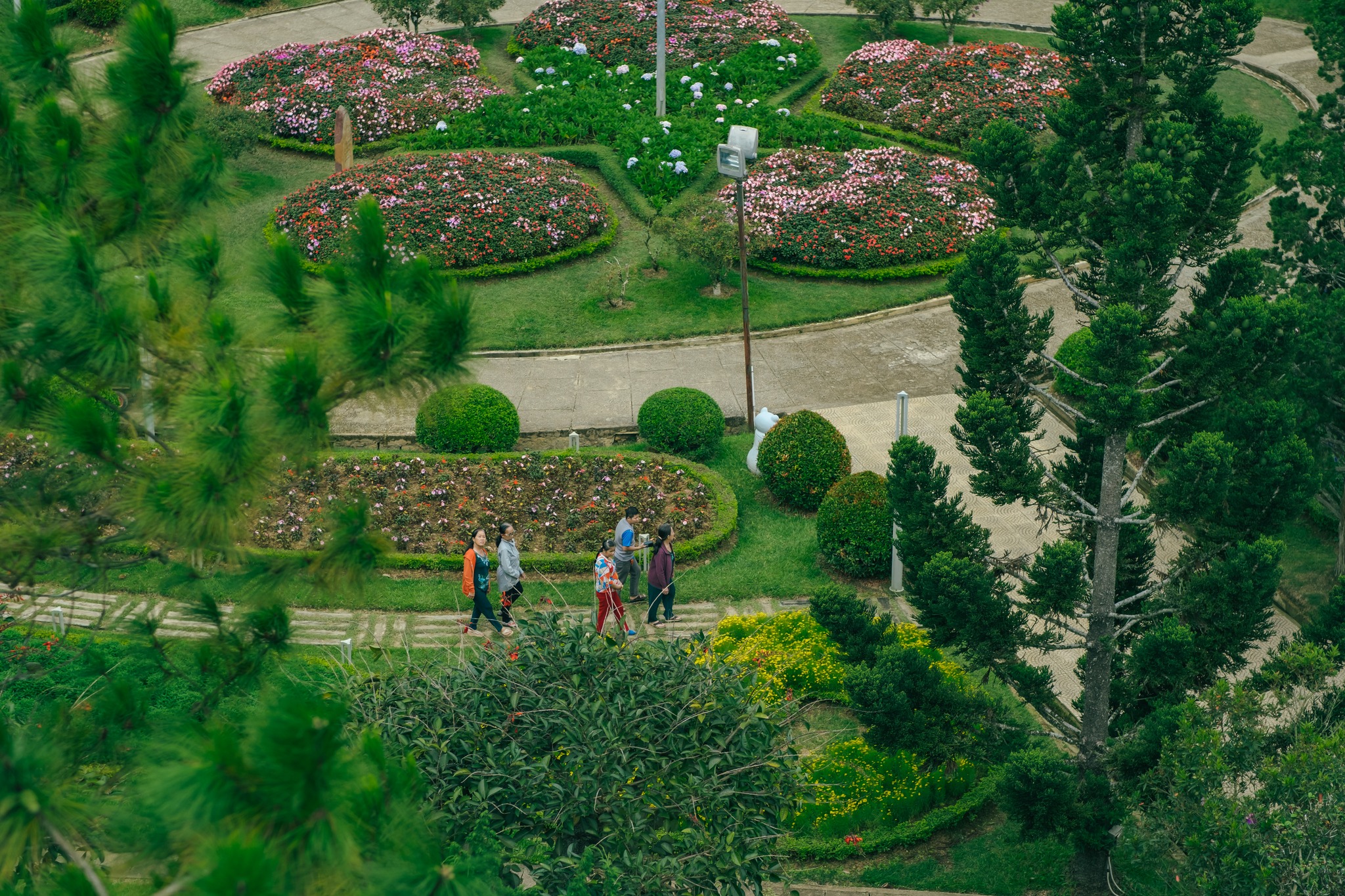 Vườn hoa thành phố Đà Lạt cũng nằm trong kế hoạch cải tạo lần này.