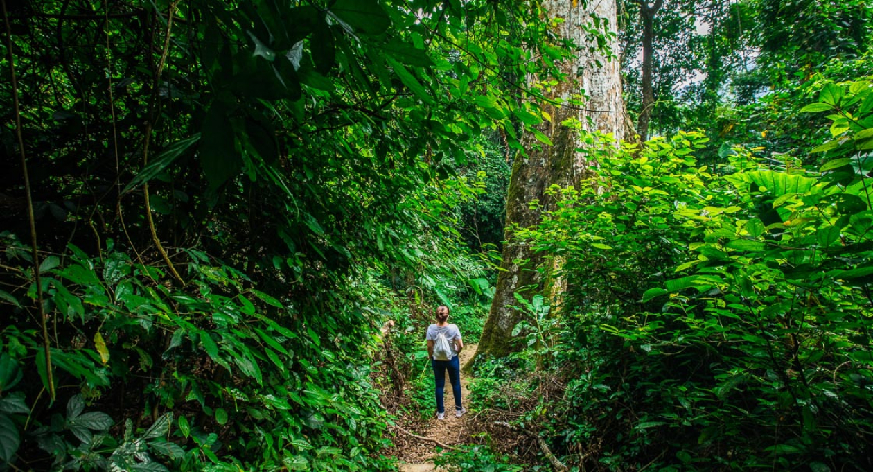 Du kh&aacute;ch Việt Nam đang dần chuyển hướng sang c&aacute;c h&igrave;nh thức du lịch bền vững v&agrave; trở n&ecirc;n kỹ t&iacute;nh hơn trong việc lựa chọn chỗ ở.