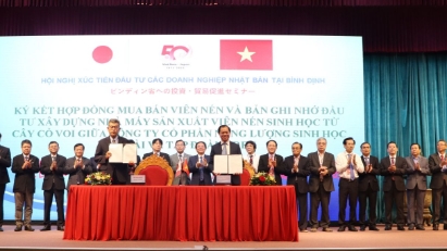 Binh Dinh looks to attract more Japanese investors