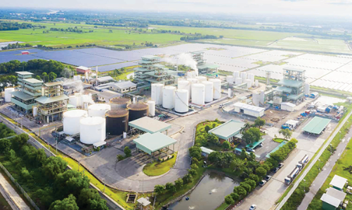 Doanh nghiệp Việt bước vào cuộc đua Net Zero