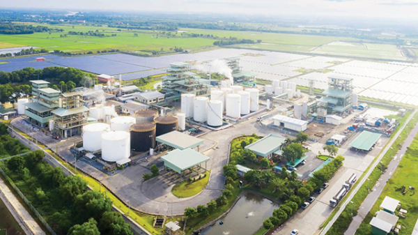 Doanh nghiệp Việt bước vào cuộc đua Net Zero