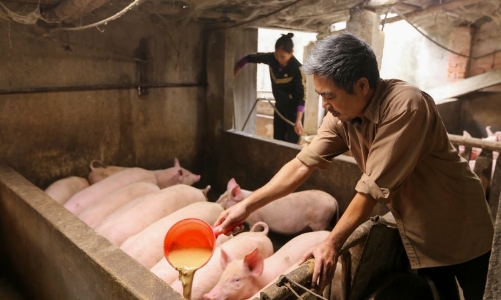 Toàn ngành chăn nuôi nhập siêu gần 4,3 tỷ USD trong nửa đầu năm