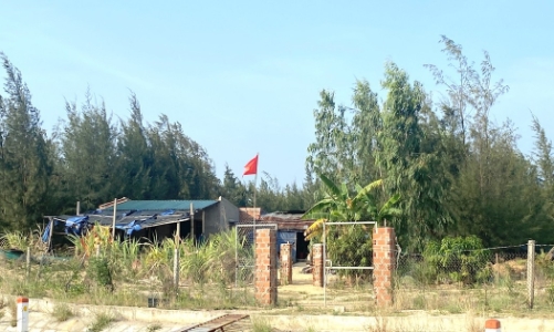 Bình Định sẽ xử lý trường hợp lấn, chiếm đất đai kéo dài suốt những năm qua