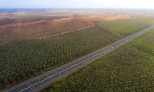 Thực hiện 13 dự án, TP.HCM cần thu hồi gần 300ha đất năm 2023