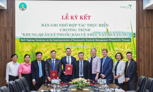 Hợp tác quản lý thuốc bảo vệ thực vật bền vững: Bước tiến quan trọng của ngành nông nghiệp