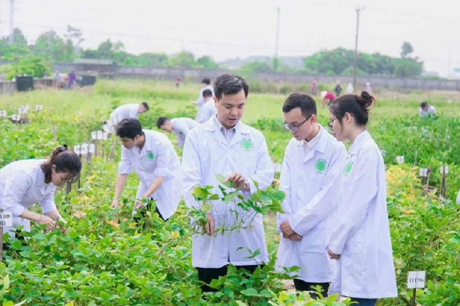 Đào tạo nhân lực ngành nông nghiệp đang chứng kiến sự suy giảm nhanh của số lượng học sinh, sinh viên theo học.