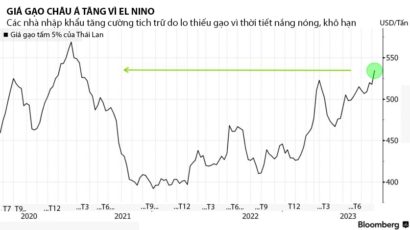 Nguồn: Hiệp hội Các nhà xuất khẩu gạo Thái Lan