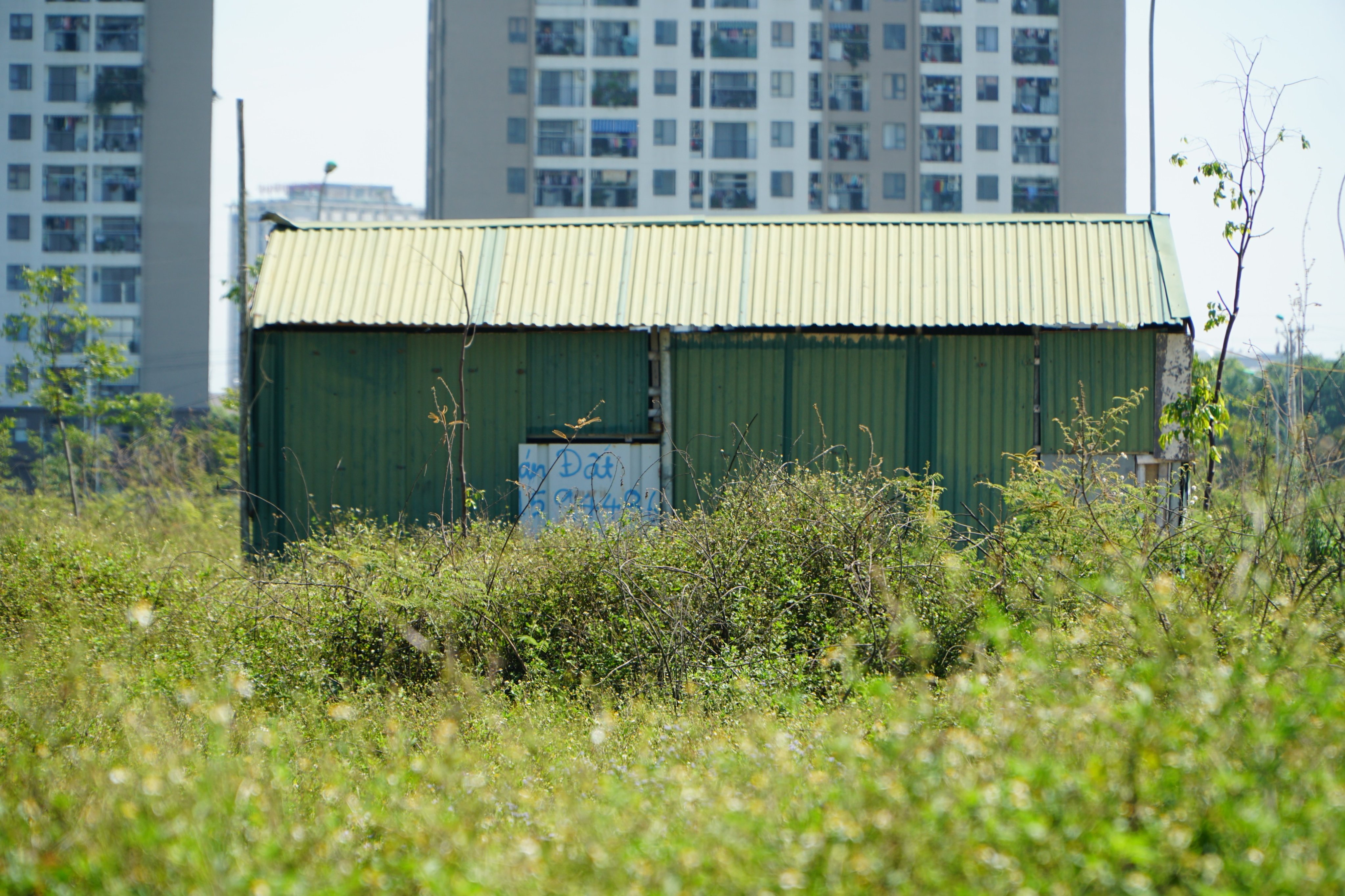 B&ecirc;n trong c&ocirc;ng trường dự &aacute;n chỉ c&oacute; một số nh&agrave; bảo vệ, nh&agrave; c&ocirc;ng nh&acirc;n đang bị bỏ hoang