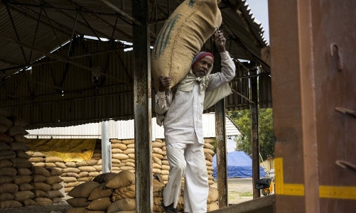 Lo lạm phát, Ấn Độ tính cấm xuất khẩu gạo